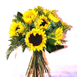Flowers to Barcelona - sun flowers barcelona