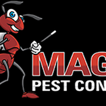 Magic Pest Control - Pest Control Near Me - Gilbert, Arizona Magic Pest Control - Pest Control Near Me - Gilbert, Arizona