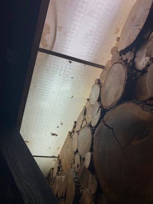 Downey Brewing Company by null