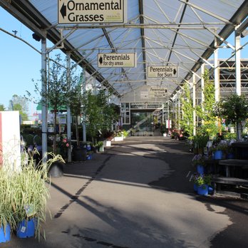 Wilson's Garden Center - Nursery Area 2020 - Nurseries & Gardening Near Me - Newark, Ohio