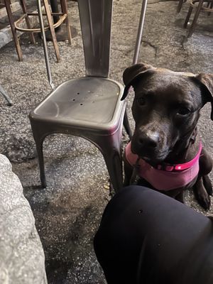 The Riverside Market Cafe by null