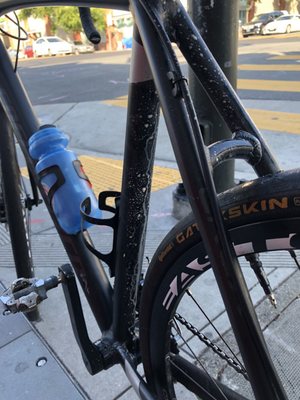 Market Street Cycles by null