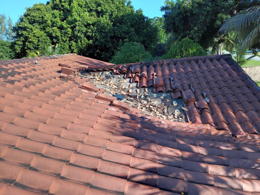 Slide of Babel Roof Repairs