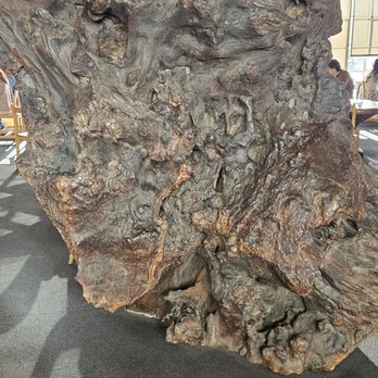 Greens Restaurant - Large fossilized piece of tree at the entrance. - Vegetarian Near Me - San Francisco, California Greens Restaurant - Large fossilized piece of tree at the entrance. - Vegetarian Near Me - San Francisco, California