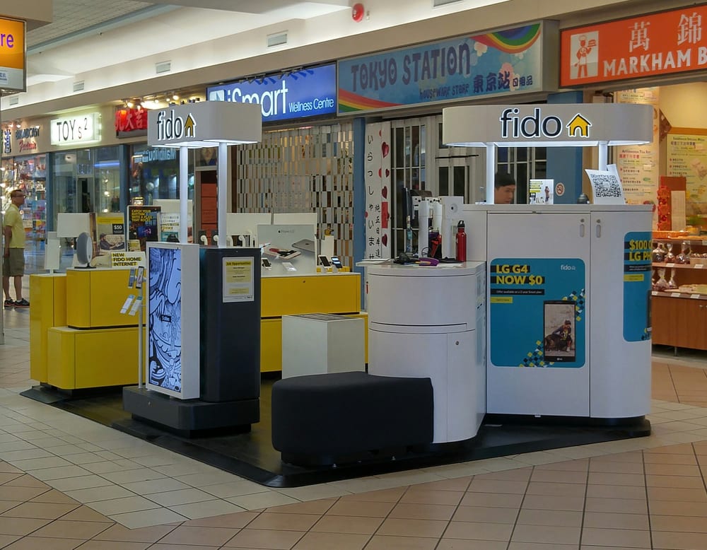 female ginger cat for sale