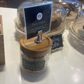 Carmela Coffee - Parkland - Coffee & Tea Near Me - Parkland, Florida