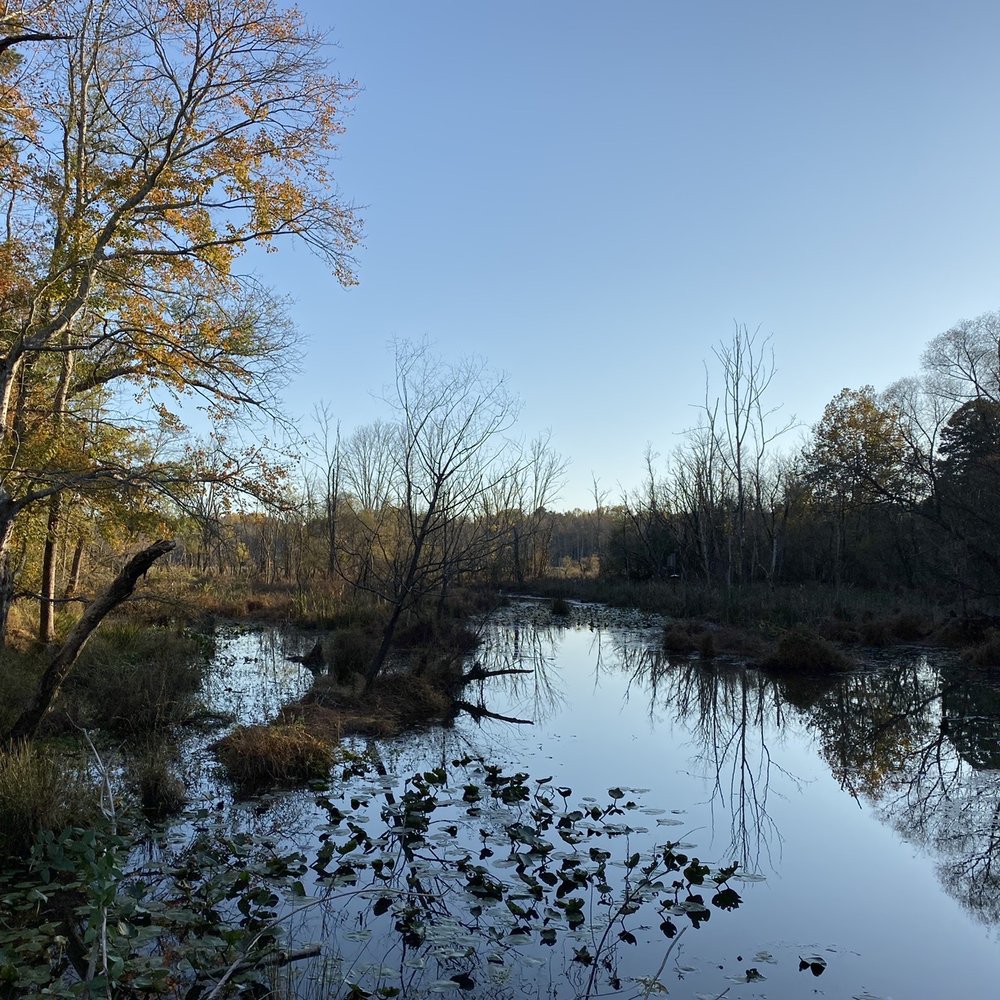 Conestee Nature Preserve - Community Service/Non-Profit Near Me - Greenville, South Carolina Conestee Nature Preserve - Community Service/Non-Profit Near Me - Greenville, South Carolina