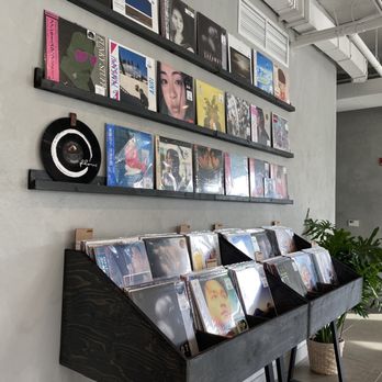 Haven Brews - Interior - Vinyl records and album covers are organized on three black wall-mounted shelves and a black stand with multiple compartments. The shelves hold various album covers, some featuring portraits and artwork, while the stand displays records in plastic sleeves. The interior has gray walls, visible ceiling pipes, and a potted plant in a woven basket, indicating a modern, minimalist design. - Coffee Roasteries Near Me - Toronto, Ontario