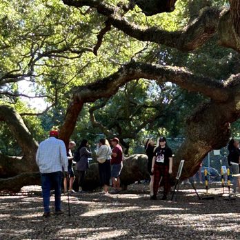 Angel Oak - My uncle enjoying the view Love you!!! - Parks Near Me - Johns Island, South Carolina Angel Oak - My uncle enjoying the view Love you!!! - Parks Near Me - Johns Island, South Carolina