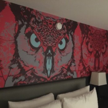 Studio Allston - Hotels Near Me - Boston, Massachusetts Studio Allston - Hotels Near Me - Boston, Massachusetts