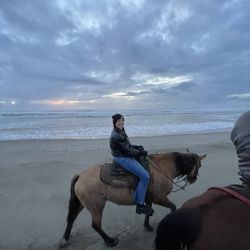 Seahorse Equestrian Tours