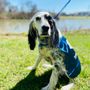 PetCure Oncology Phoenix