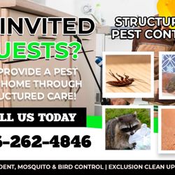 Structured Pest Control