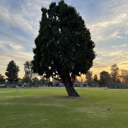 Las Flores Park