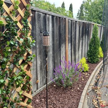 Green World Landscape - Backyard plants and drip irrigation, mulch - Landscaping Near Me - Concord, California Green World Landscape - Backyard plants and drip irrigation, mulch - Landscaping Near Me - Concord, California