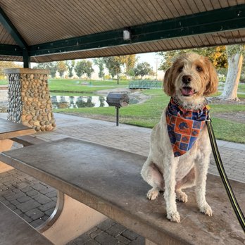 The Park At River Walk - Grill and dining area with overhead canopy - Parks Near Me - Bakersfield, California The Park At River Walk - Grill and dining area with overhead canopy - Parks Near Me - Bakersfield, California