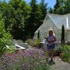Lux Perennials Nursery gift card