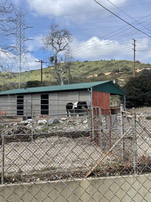 Marshall Canyon Regional Park by null