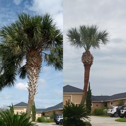 Coast to Coast Tree & Outdoor Services