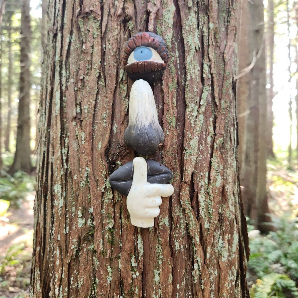 Enchanted Forest Trail - Hiking Near Me - Point Roberts, Washington Enchanted Forest Trail - Hiking Near Me - Point Roberts, Washington