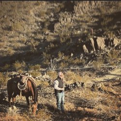 Western Ranchman Store - So helpful with any needs to keep you on the trails!