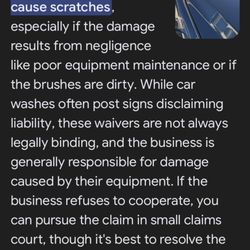 Buggy Bath Car Wash - Liability