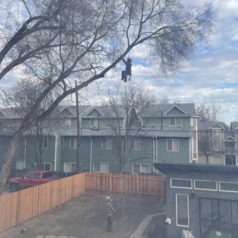 Majestic Tree Care - Tree Services Near Me Majestic Tree Care - Tree Services Near Me