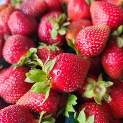 Strawberries Picked Fresh Daily - Strawberries
