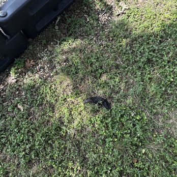 Oak Ridge Park - Rotten food - Parks Near Me - Leander, Texas