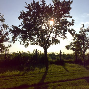 Hundepension Strolch - Pet Boarding Near Me - Mutterstadt, RP