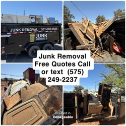 Junk Maniacs