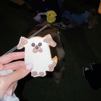 The Dog Bakery - Pet Stores Near Me - Long Beach, California
