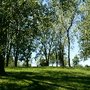 Photo of Lee Valley Park