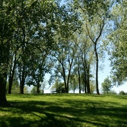 Lee Valley Park - Cottonwood trees provide shade.