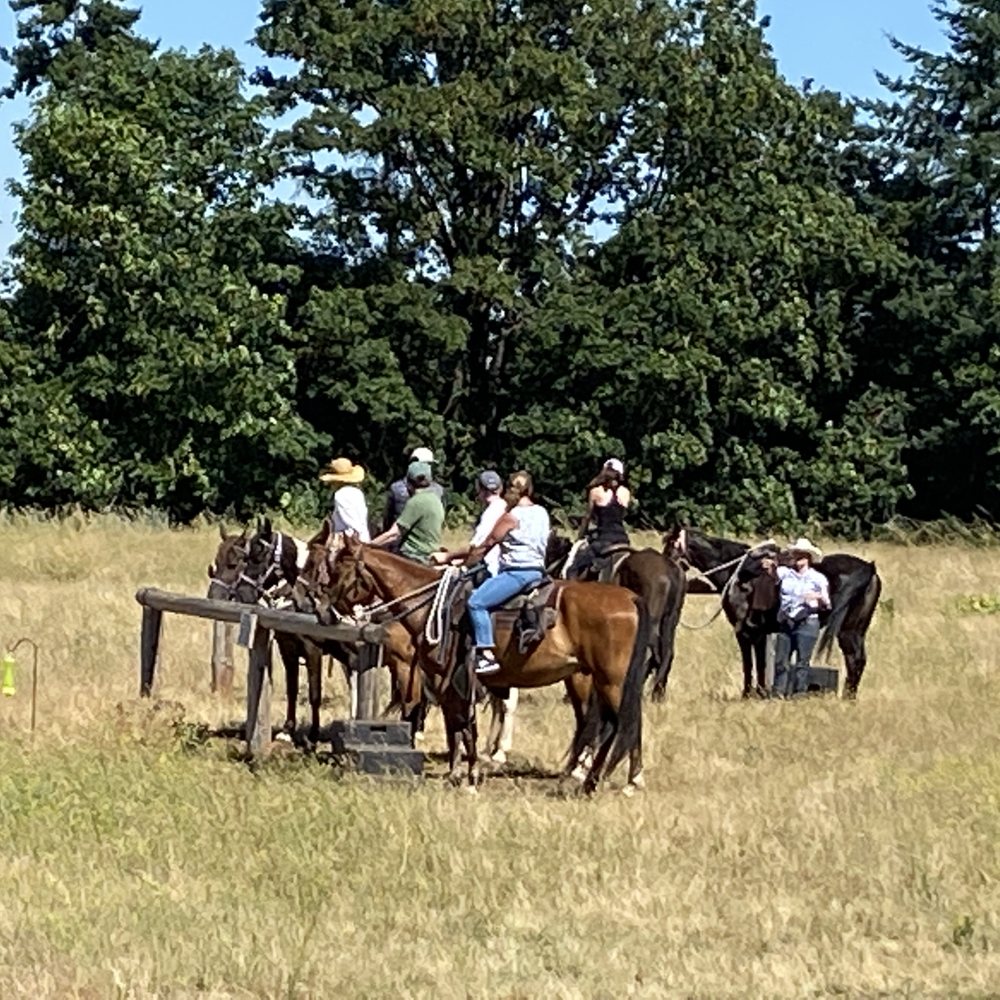 Equestrian Wine Tours - a group of people riding horses - Venues & Event Spaces Near Me - Carlton, Oregon