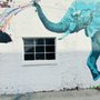 Photo of Elephant in the Room
