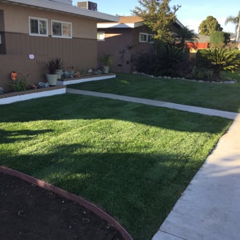 Lawns By Willis - All the roots are gone. Now we have curve appeal. - Landscaping Near Me Lawns By Willis - All the roots are gone. Now we have curve appeal. - Landscaping Near Me