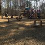 Photo of Lazy Daze Playground