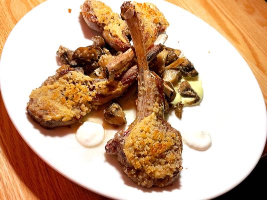 Commons Club by null Commons Club by null