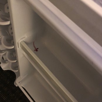 Kings Inn San Diego - Sticky red stains left in the rooms mini fridge. - San Diego, CA