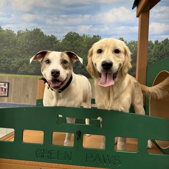 BARK Dog Park - new dog friends! - Dog Parks Near Me - Modesto, California