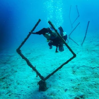 Underwater Adventures - Scuba Diving Near Me - Baton Rouge, Louisiana