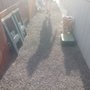 Photo of 2 Chicks And A Rake