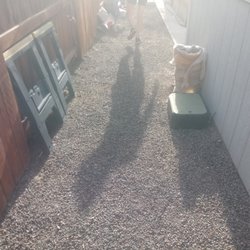 2 Chicks And A Rake - cleaning yards