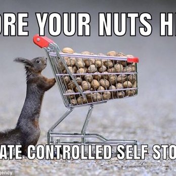 The Urban Squirrel - Self Storage Near Me - Lexington, Kentucky The Urban Squirrel - Self Storage Near Me - Lexington, Kentucky