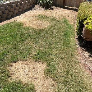 A1A Supreme Cleaning - Front yard - Pressure Washers Near Me - Escondido, California A1A Supreme Cleaning - Front yard - Pressure Washers Near Me - Escondido, California
