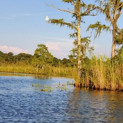 Eco-Tours of South Mississippi
