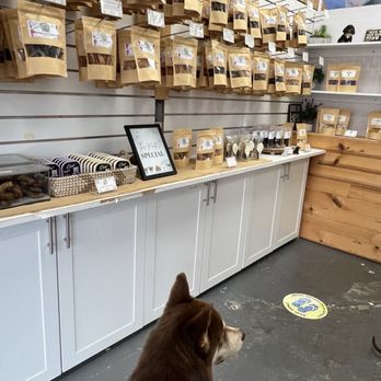 NauDog - Pet Stores Near Me - Honolulu, Hawaii NauDog - Pet Stores Near Me - Honolulu, Hawaii