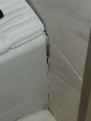 Westgate Sportsbook by null