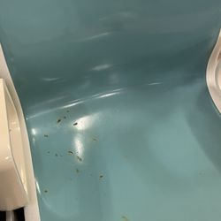 901 Bowl - Stuck on food in a chair in the pit